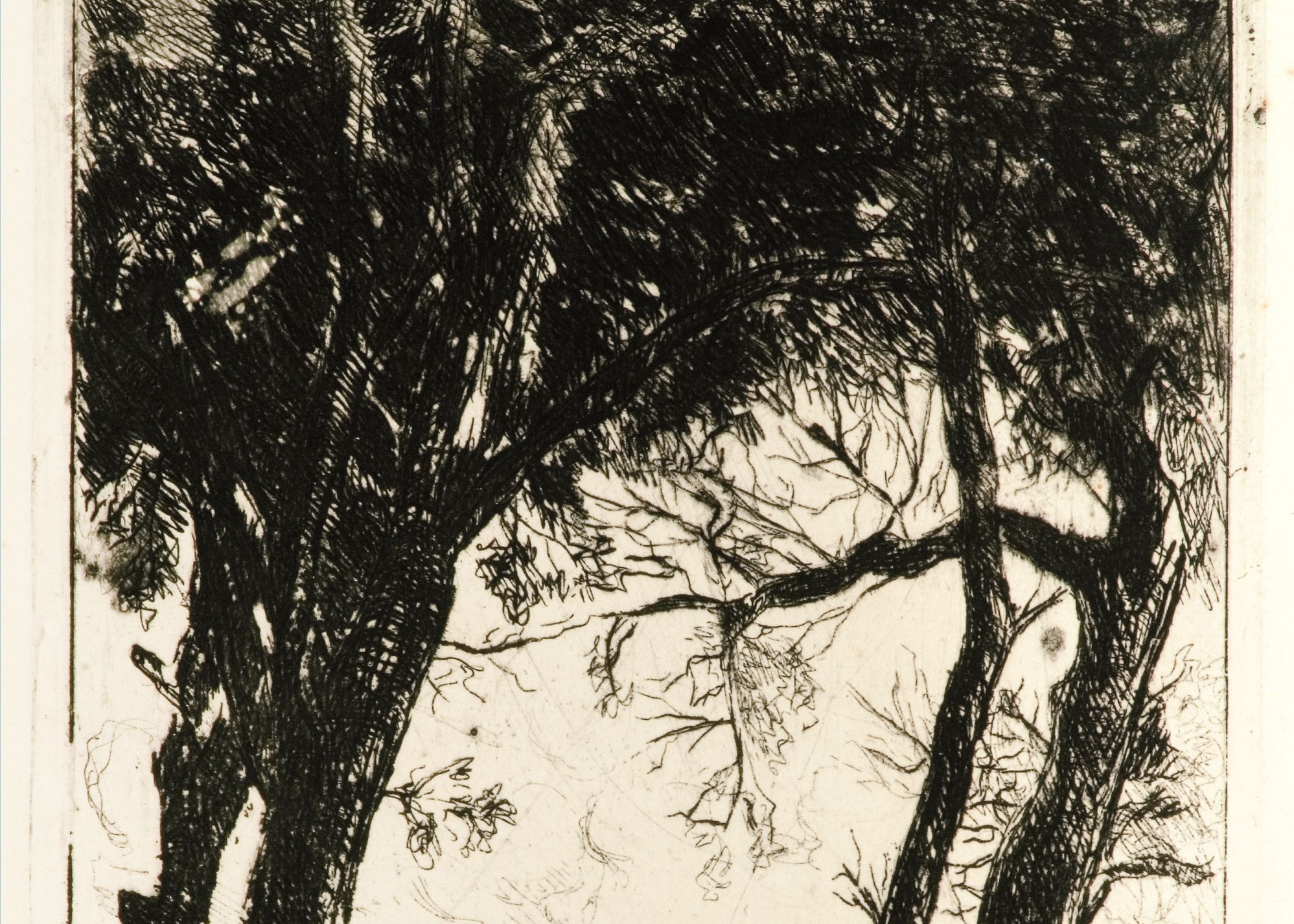 Intaglio exhibition at the Malta Society of Art