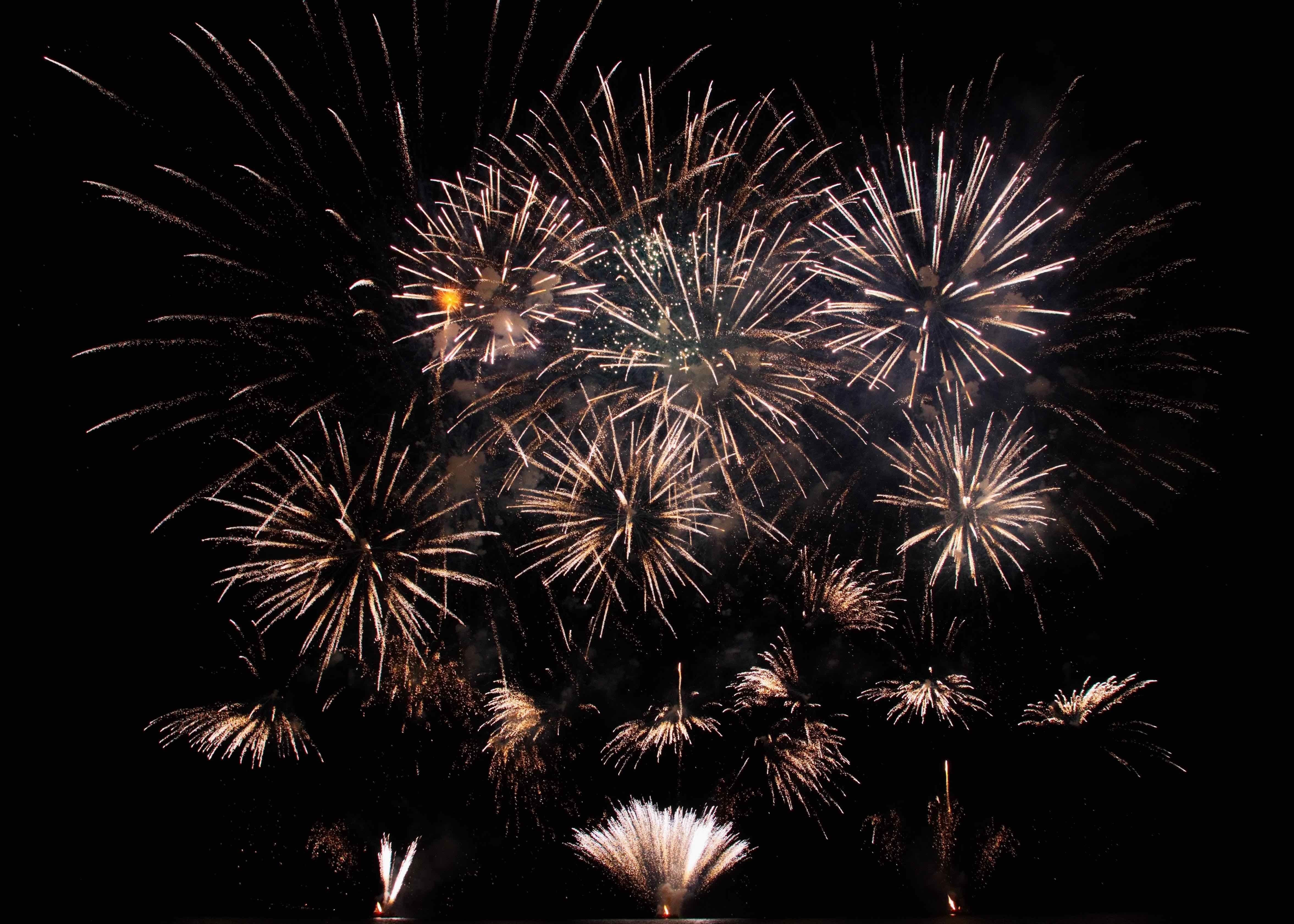 Happy New Year from MyMAC!